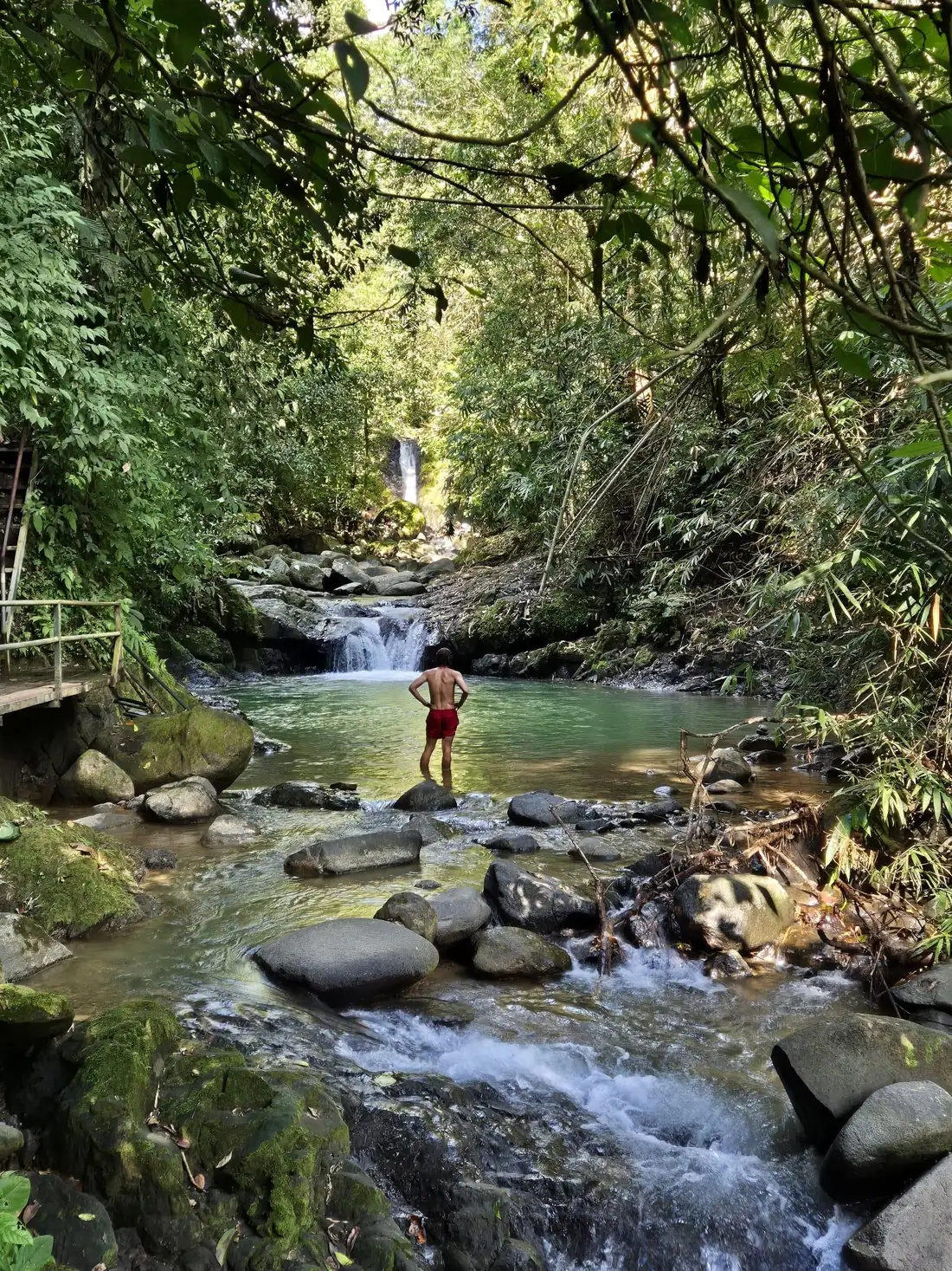 Hidden jungle creek