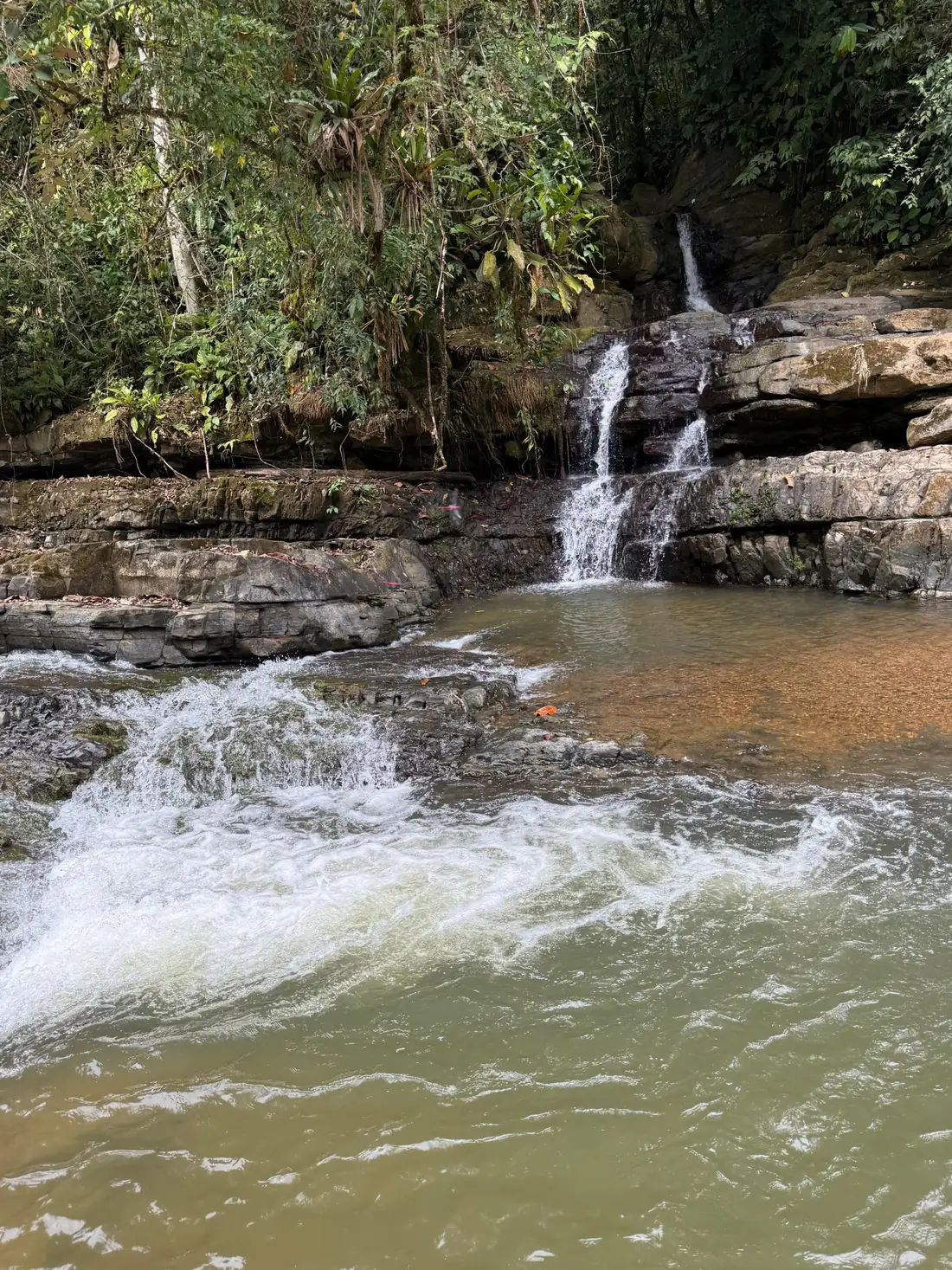 Rainforest cascade